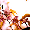 notitle