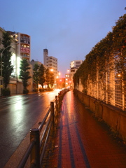 cosame-hodou