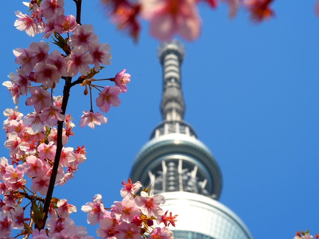 skytree