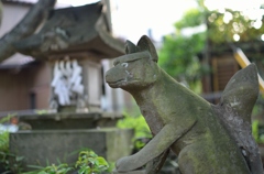 狐様（厄除け） 
