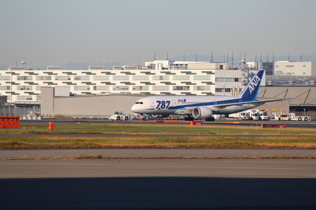 ANA-787