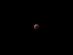 2021/5/26　Total lunar eclipse