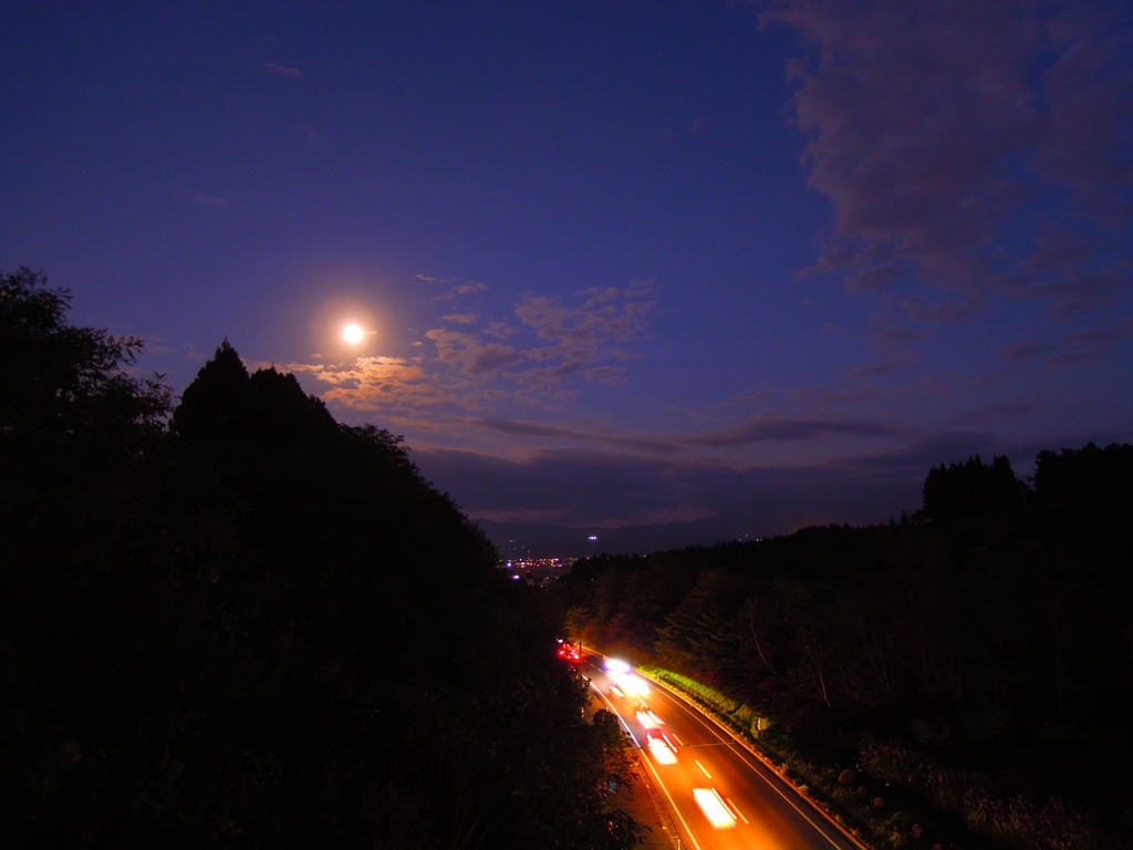 moonlight