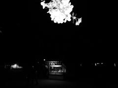 花よりDANGO　2013