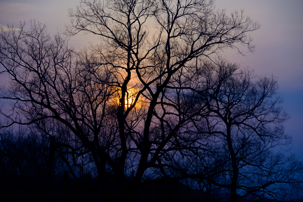 AF-S70-200mm  第十堰-10064