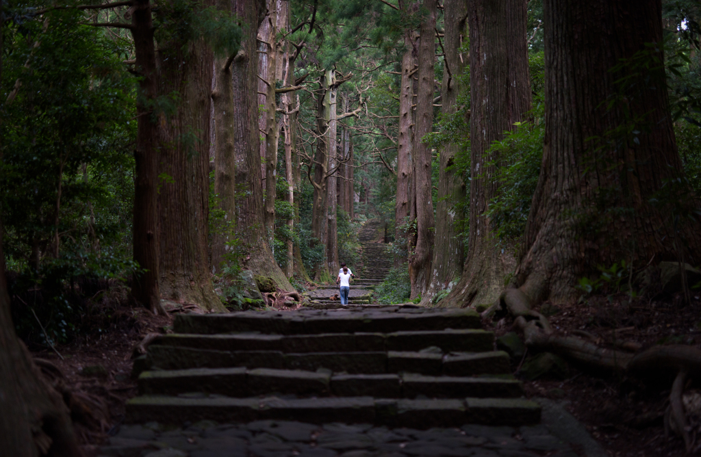 ART50mm　熊野古道-10730