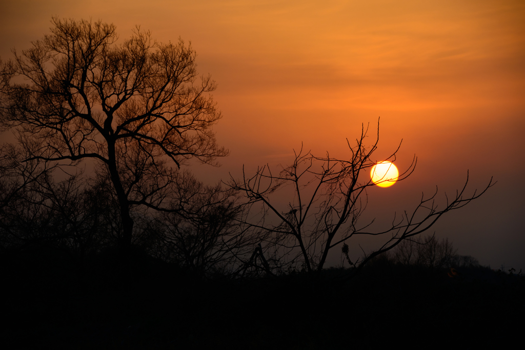 AF-S70-200mm  第十堰-10072