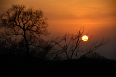 AF-S70-200mm  第十堰-10072