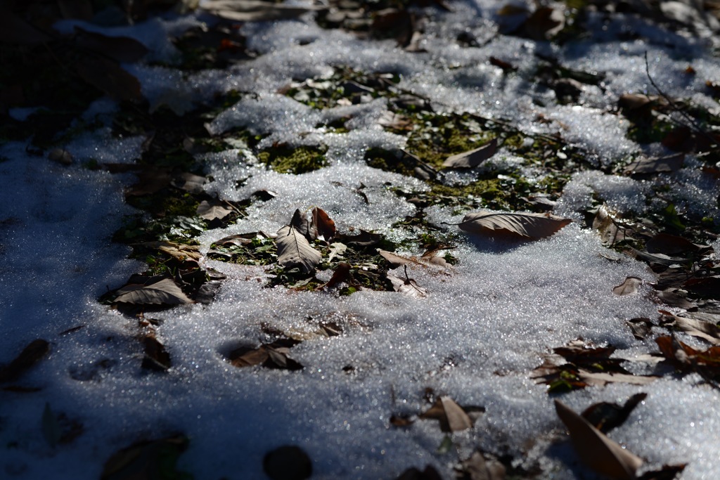 のこり雪