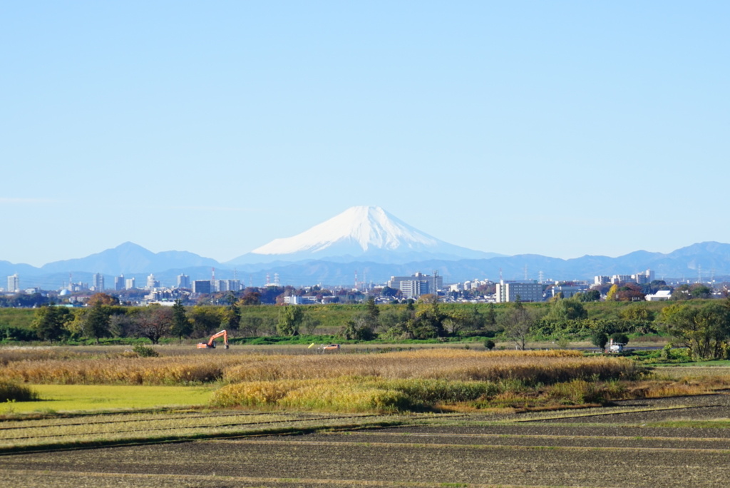 日本一