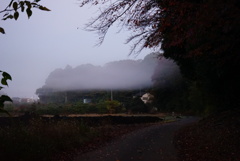 早朝の霧