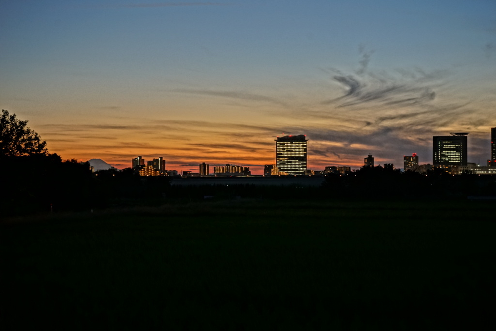 新都心夜景2