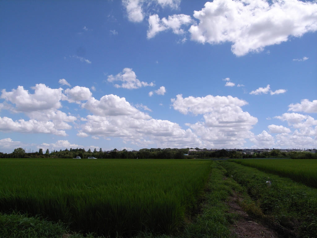 青空