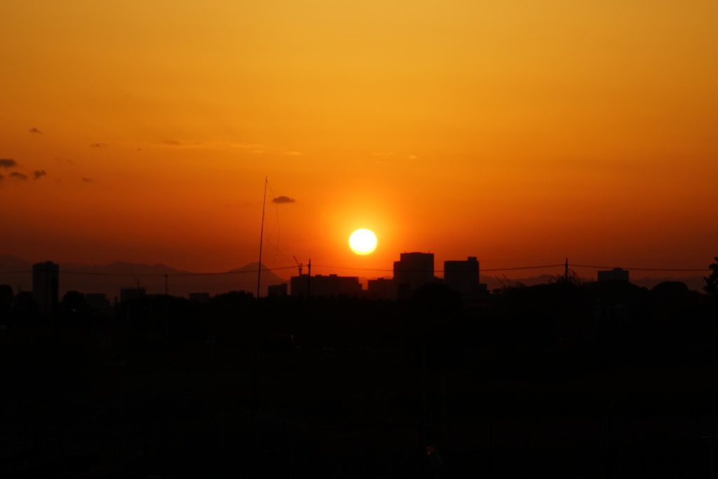 夕日