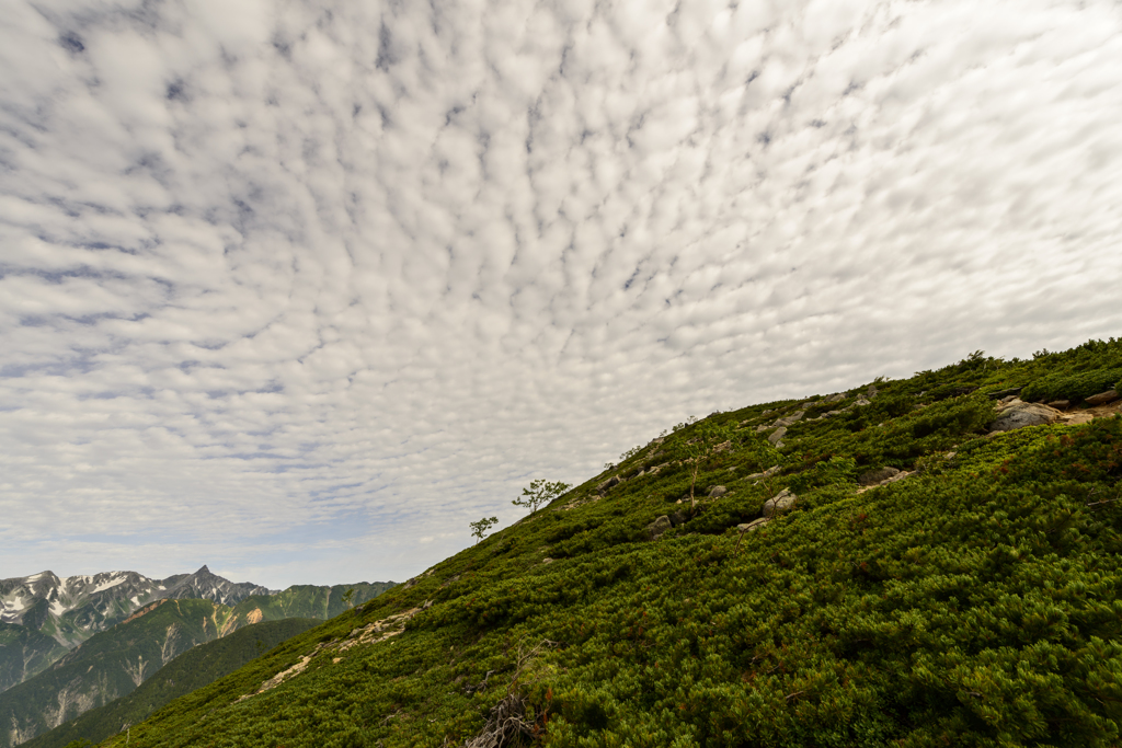 2014-08-13 蝶ヶ岳、常念岳