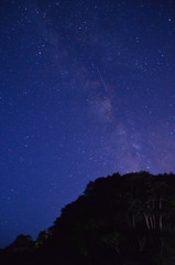 浄土ヶ浜の夜with　kuni＠さん　流れ星