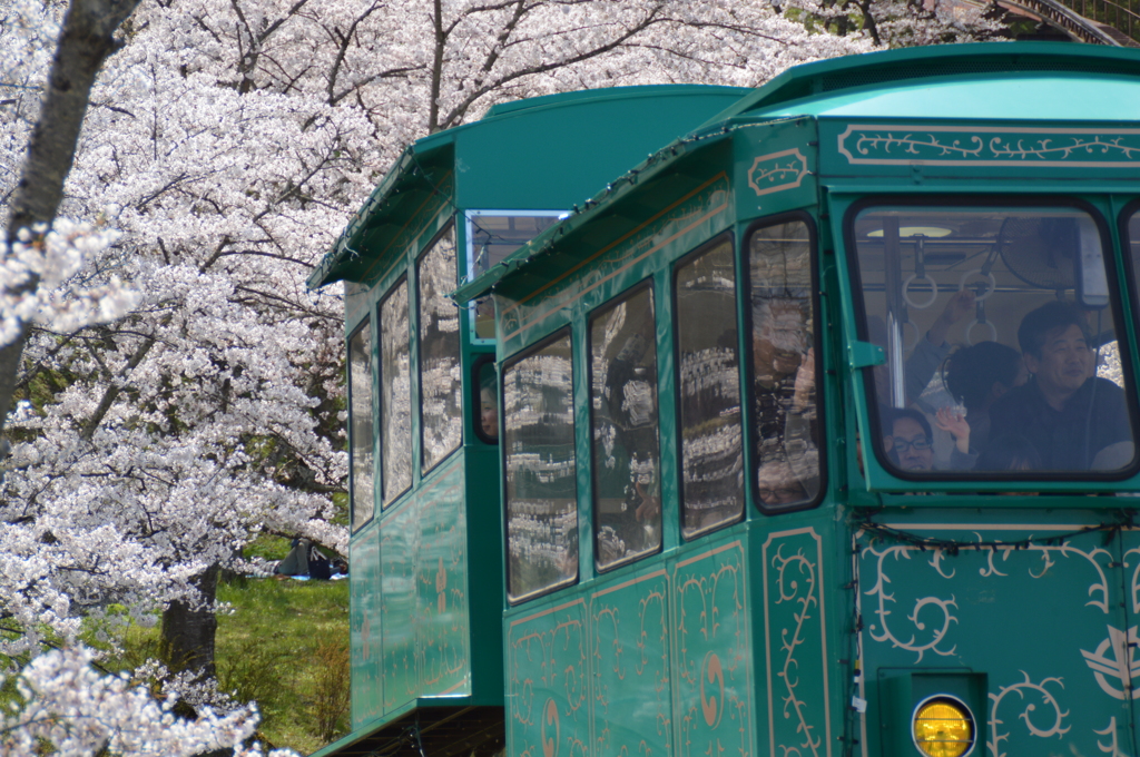 トロッコにのって桜見物＠船岡城址