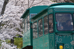 トロッコにのって桜見物＠船岡城址