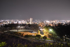 仙台某所からの夜景だよ～