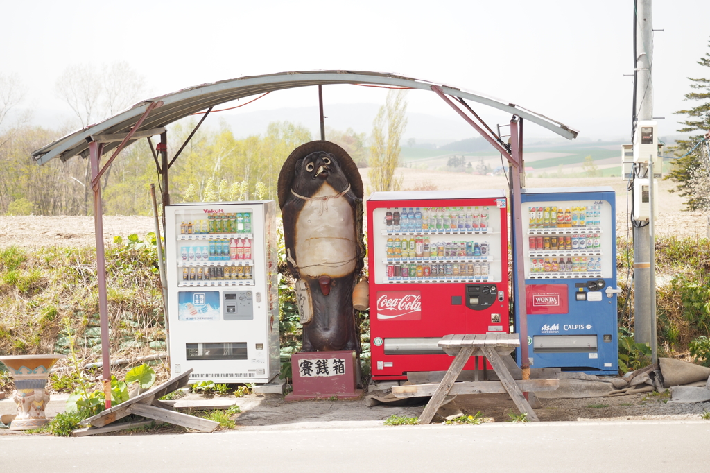 美瑛　北西の丘展望公園前