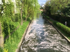 京都　伏見　宇治川派流