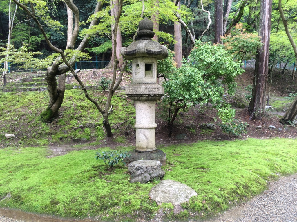 醍醐寺　無量寿苑