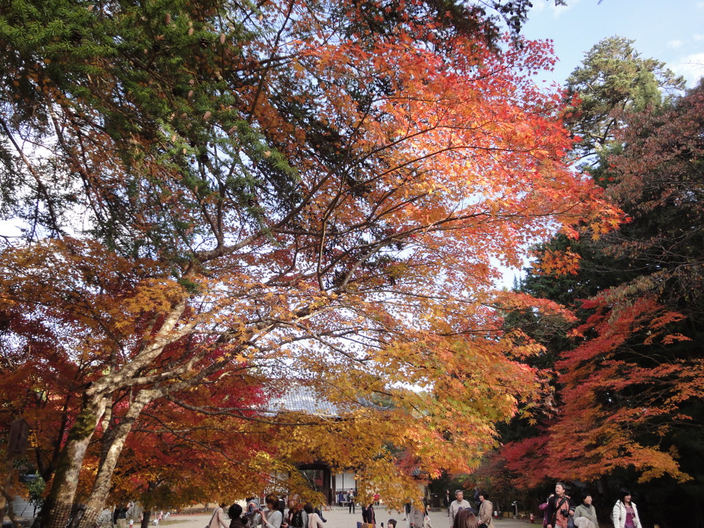 神護寺