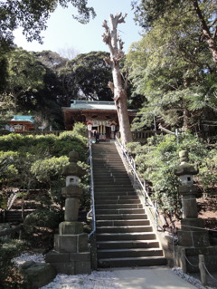 走水神社境内