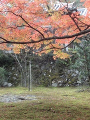 神護寺