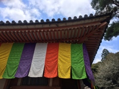 醍醐寺　金堂