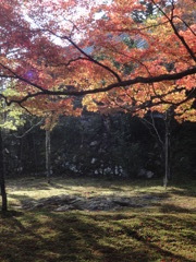 神護寺