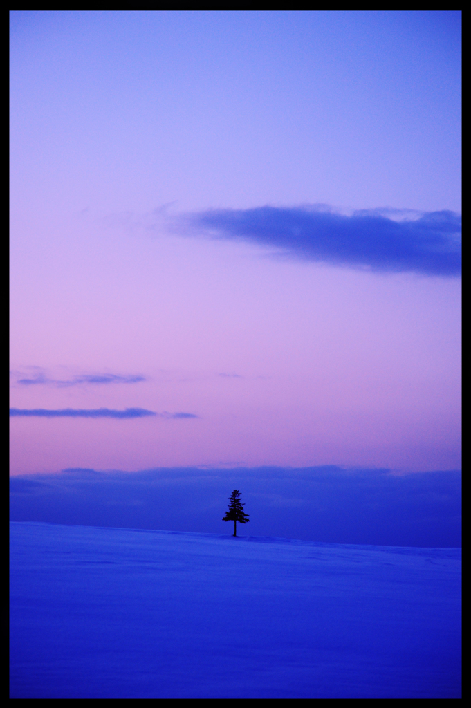 青雪に立つ