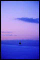 青雪に立つ