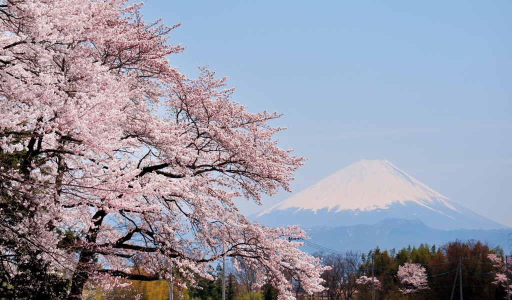 JAPAN