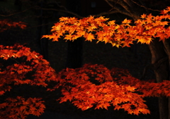 紅葉雲