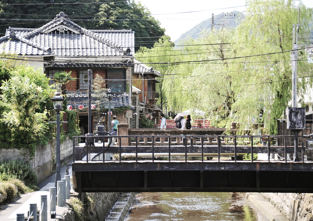 柳のある風景