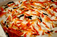 金魚