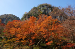 深山幽谷の世界