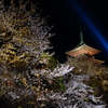 夜間鑑賞　２０１３　４　１
