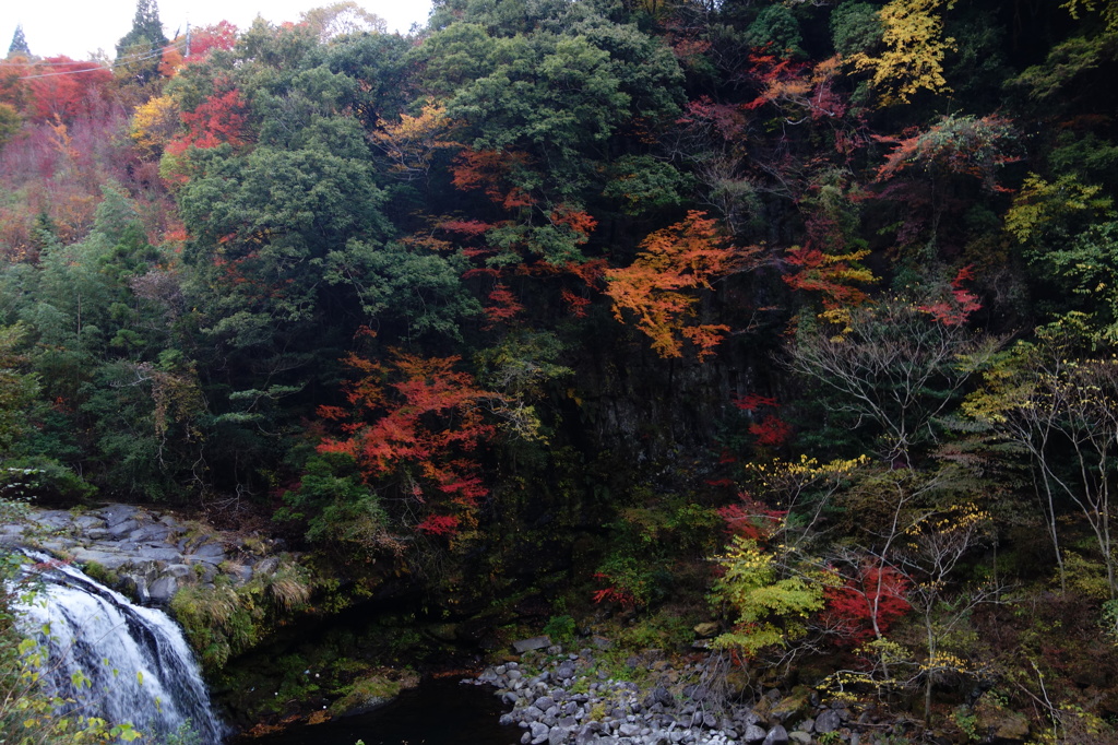 ２０１４　紅葉　黄金の滝