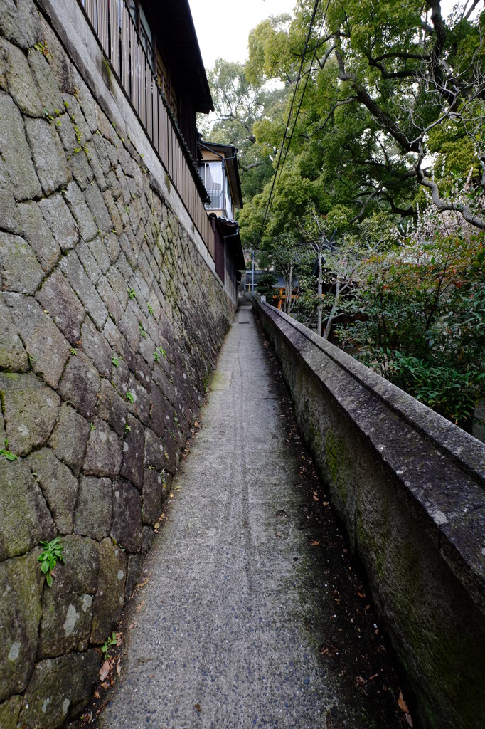 尾道裏路地