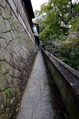 尾道裏路地