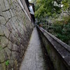 尾道裏路地