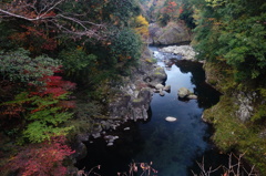 ２０１４　紅葉