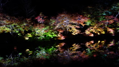 DSCF0900
