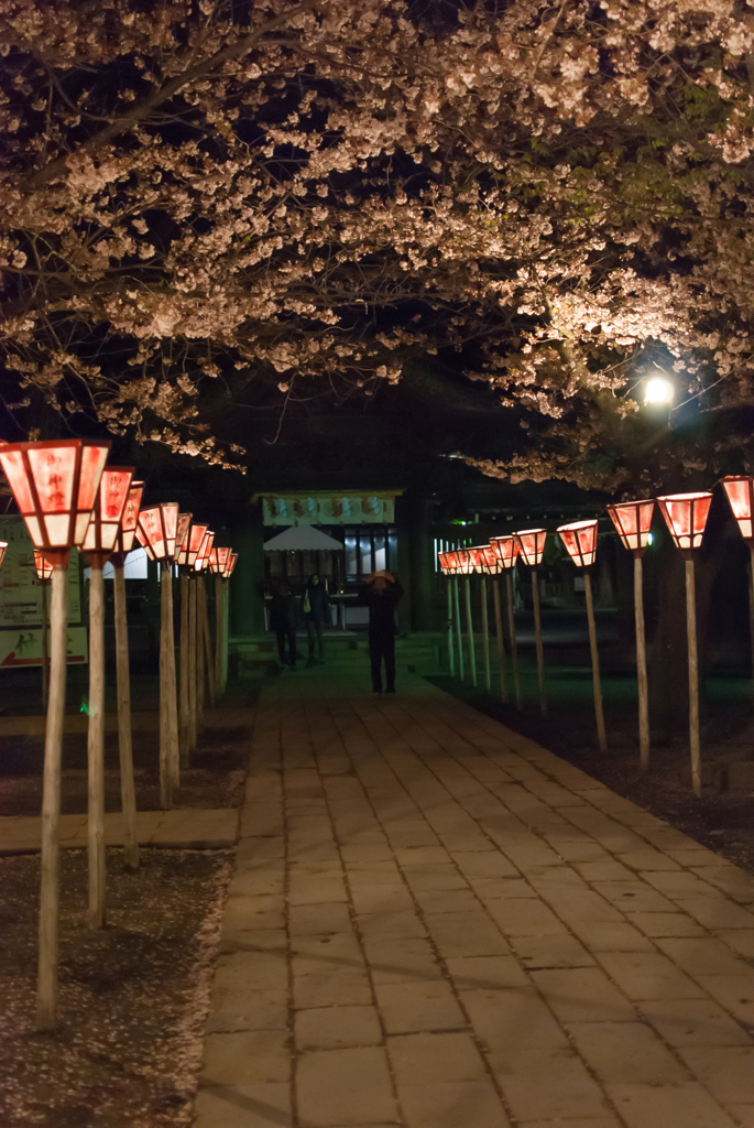 夜、光が導く