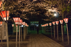 夜、光が導く2