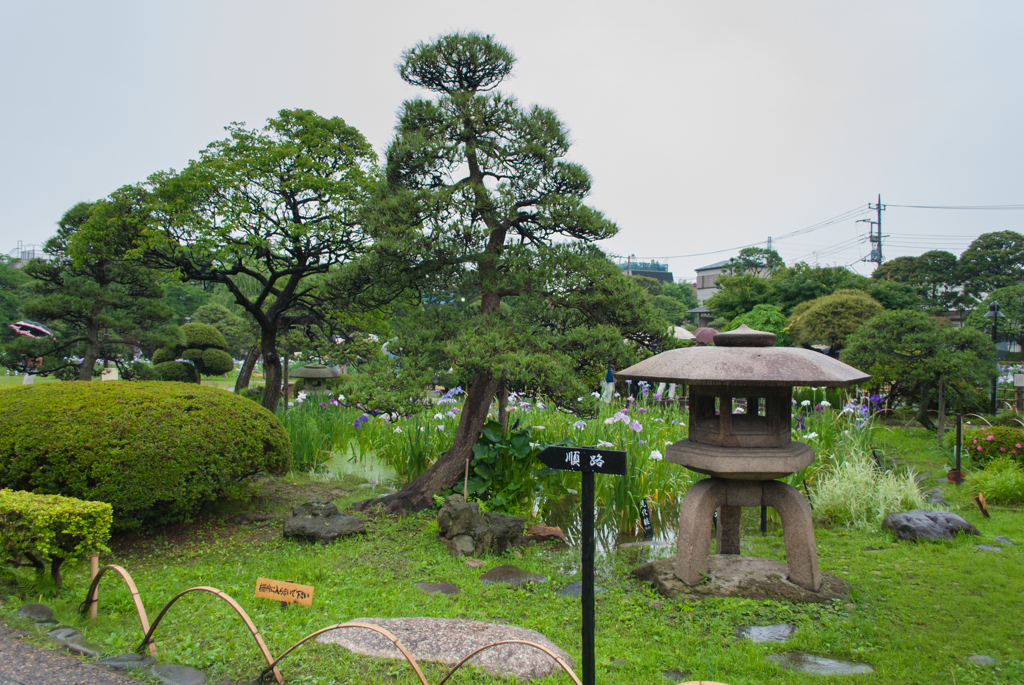 五月雨の庭園