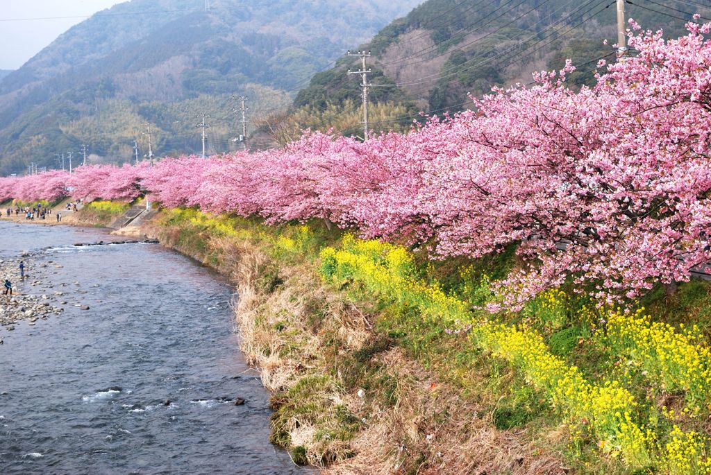 色溢れる河岸