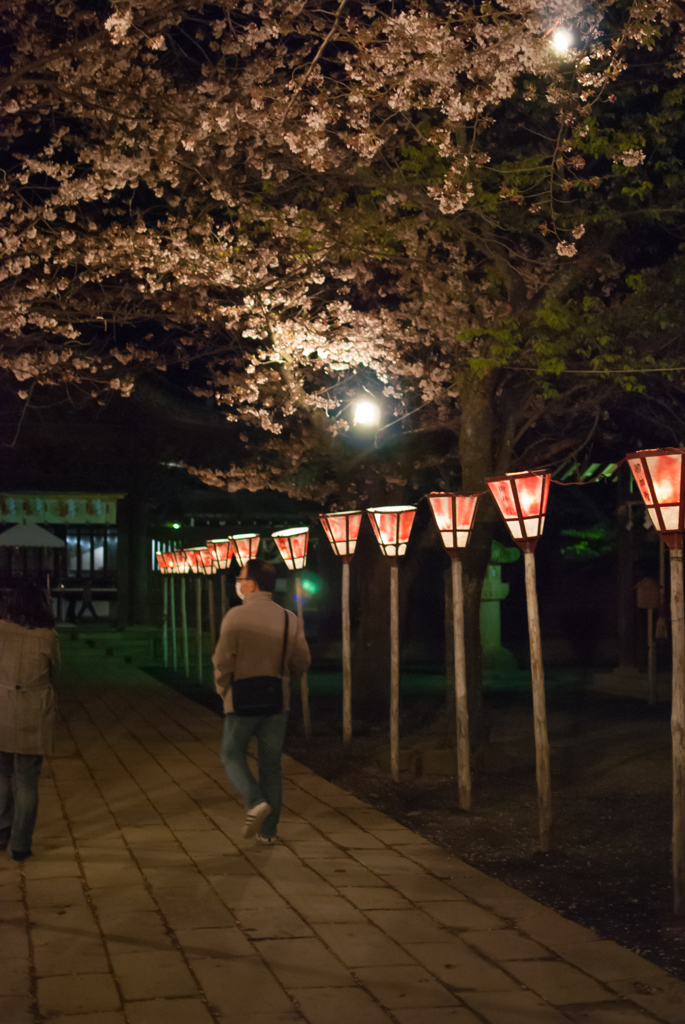 光の道を歩く